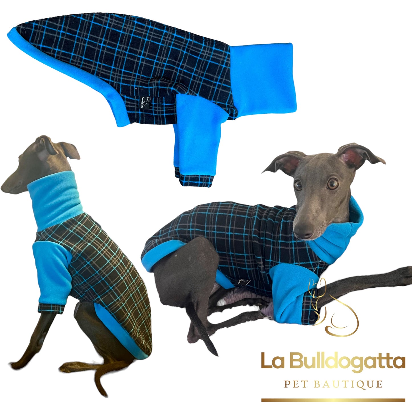 CUSTOM SWEATSHIRT SMALL ITALIAN GREYHOUND