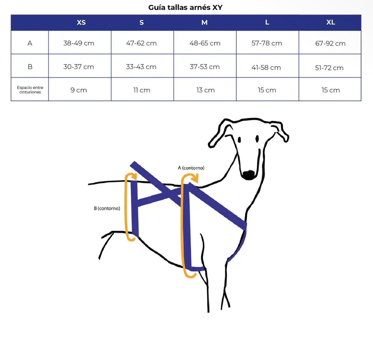 XY Perruno love anti-escape harness