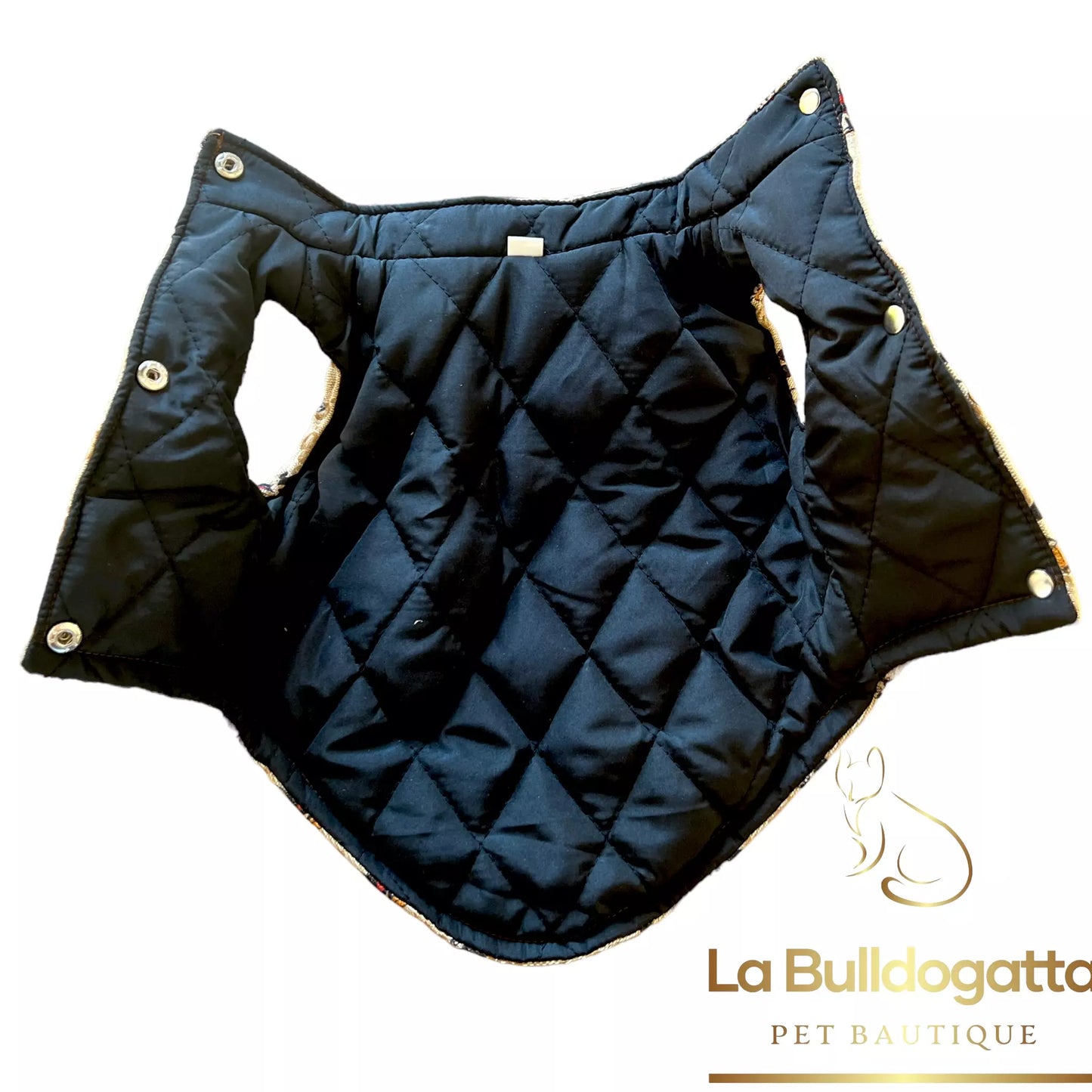 Mickey Mouse GG allover padded jacket
