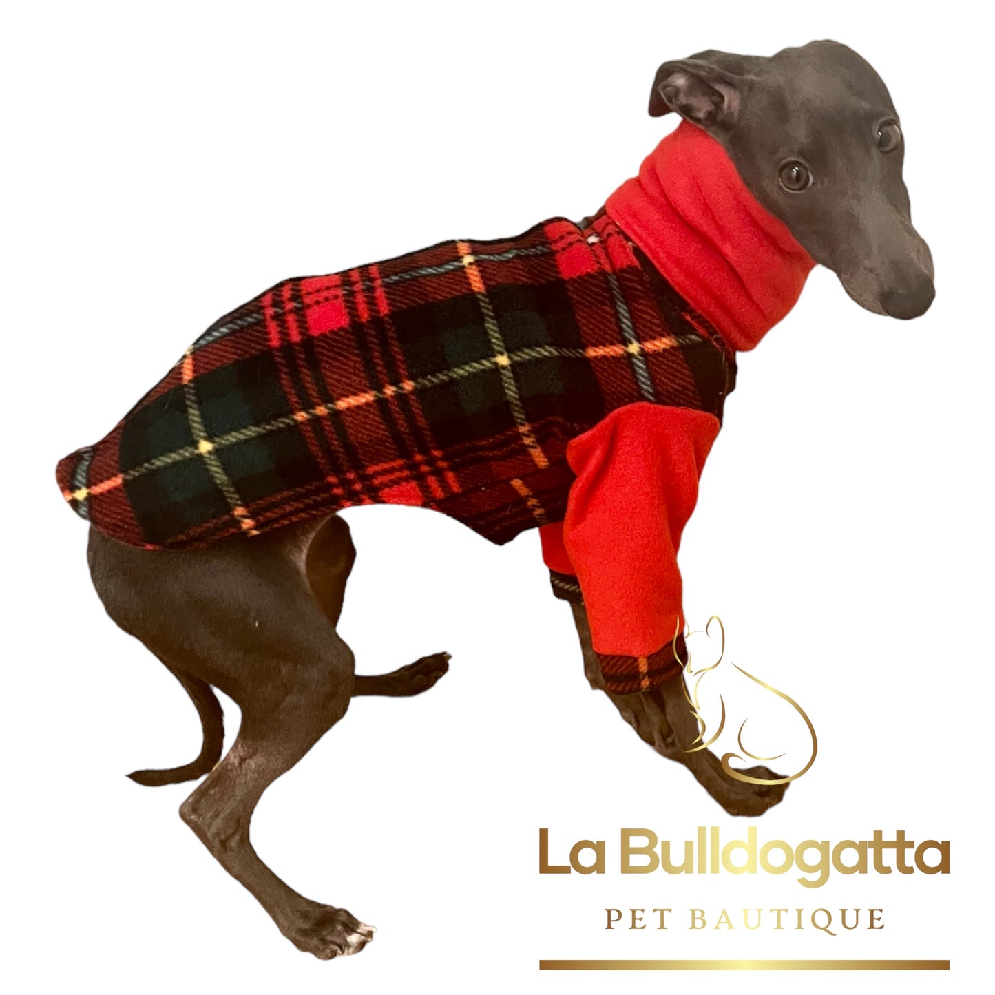 CUSTOM SWEATSHIRT SMALL ITALIAN GREYHOUND