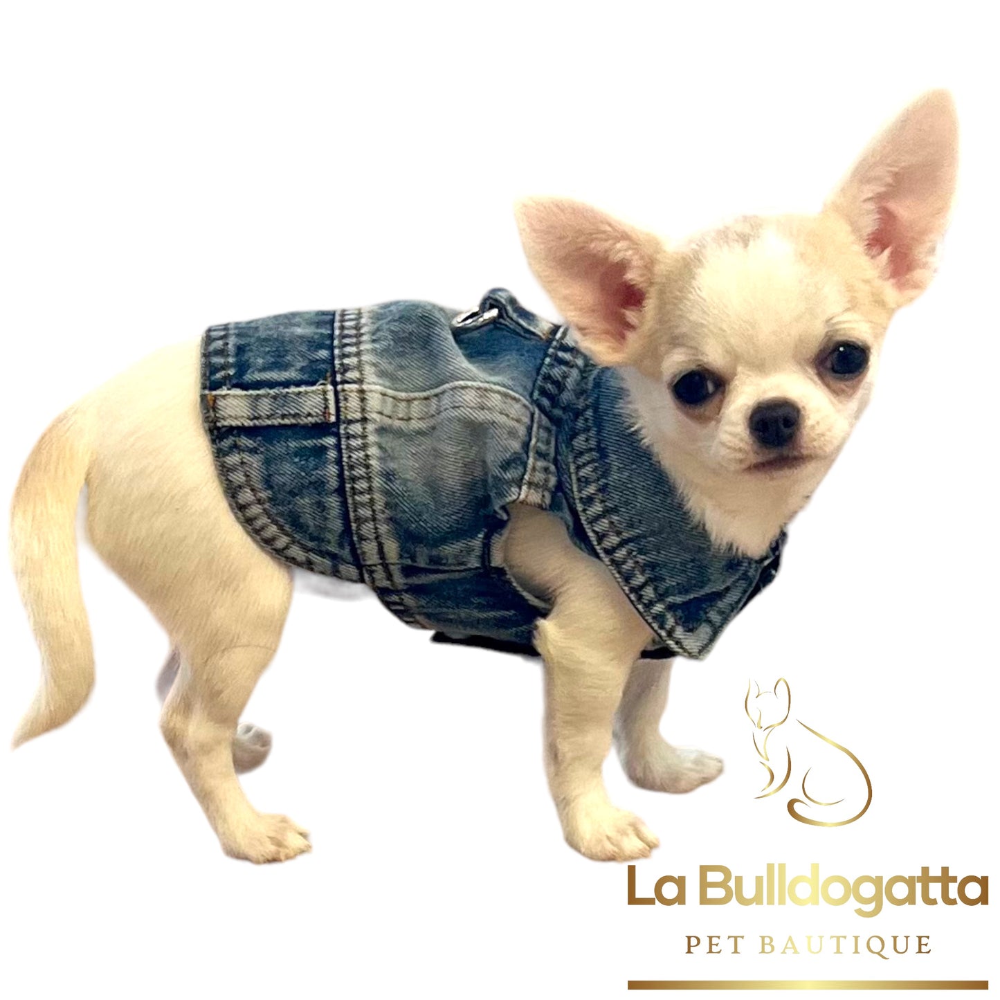 Giubbino jeans con gancetto blu