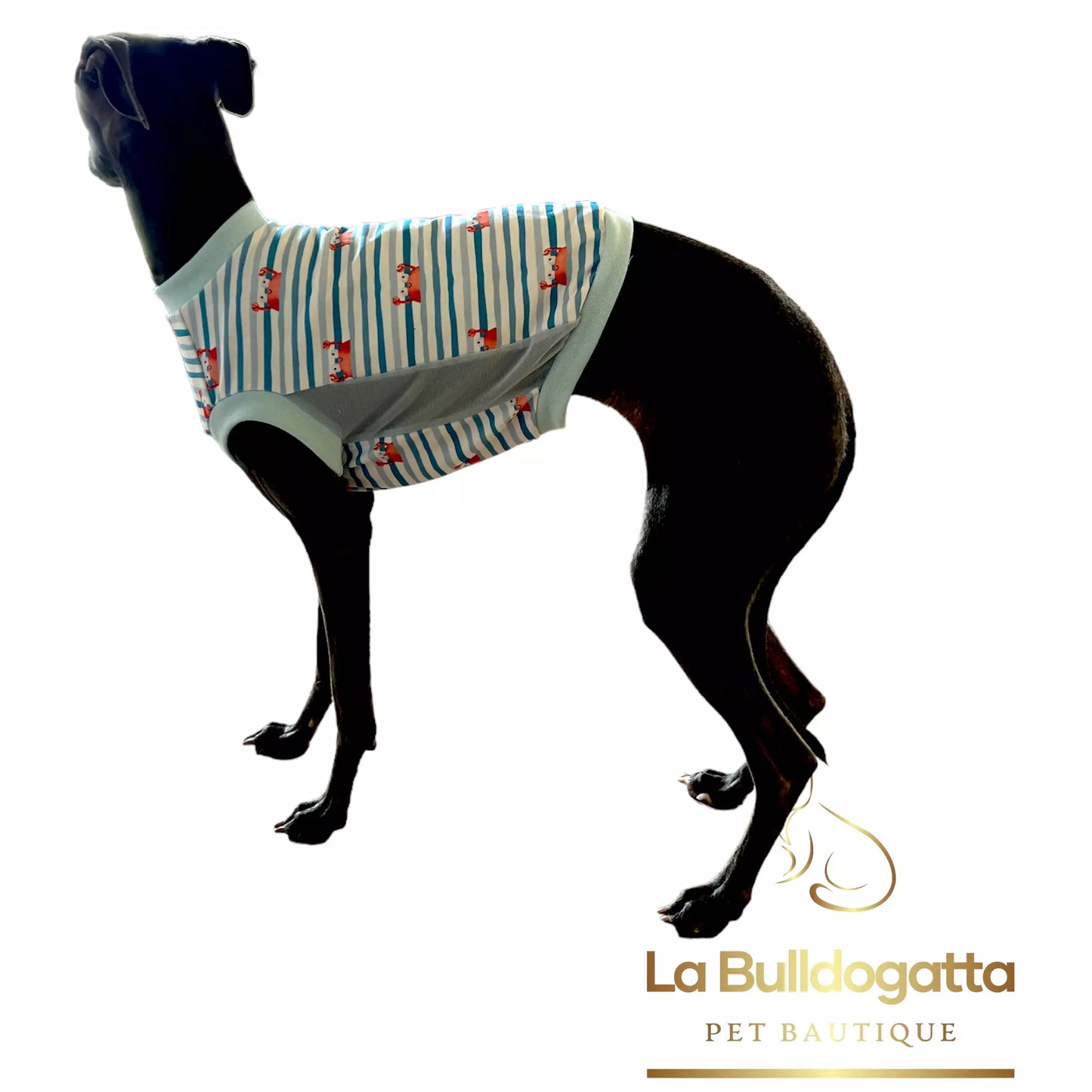 Canotta crop top granchietti PICCOLO LEVRIERO ITALIANO