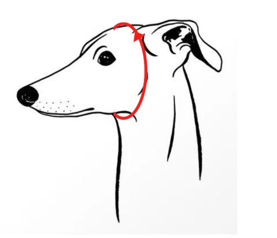 Cappellino Snood - vari tessuti - PICCOLO LEVRIERO ITALIANO - SU MISURA