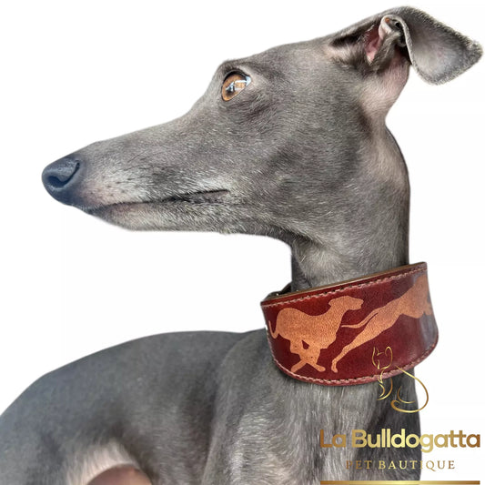 Collare pelle su misura  Levrieri in corsa PICCOLO LEVRIERO ITALIANO