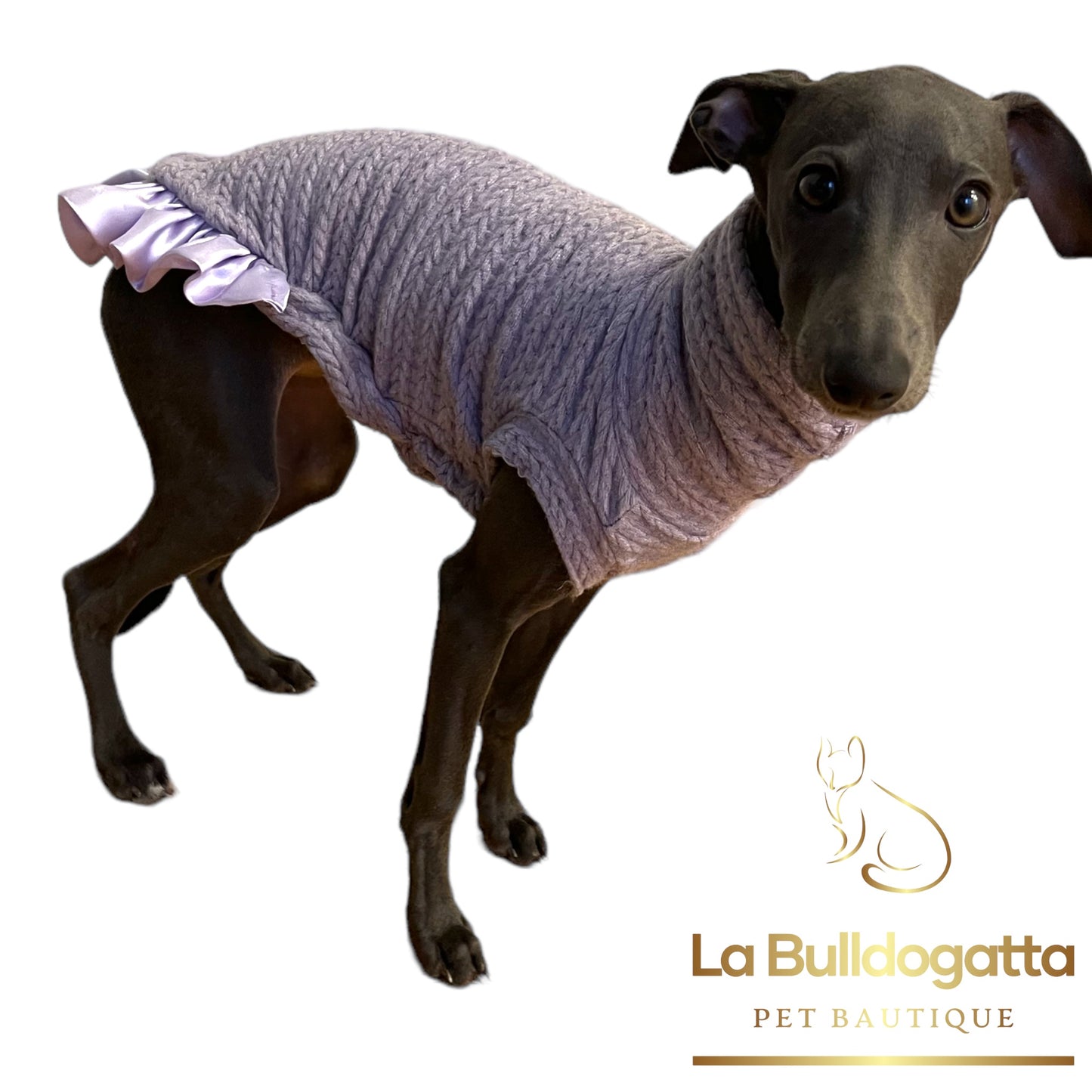 CUSTOM SWEATSHIRT SMALL ITALIAN GREYHOUND