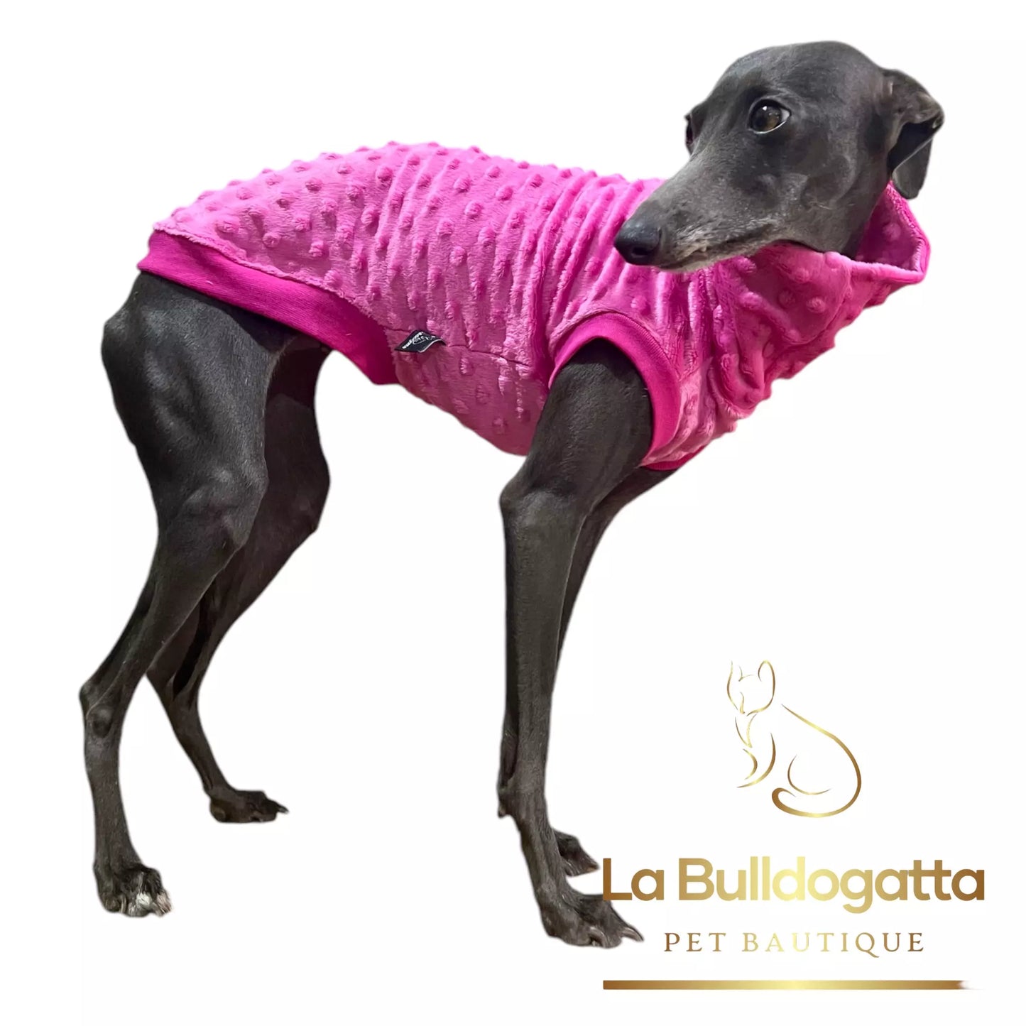 Felpina basic giromanica - vari tessuti - PICCOLO LEVRIERO ITALIANO - SU MISURA