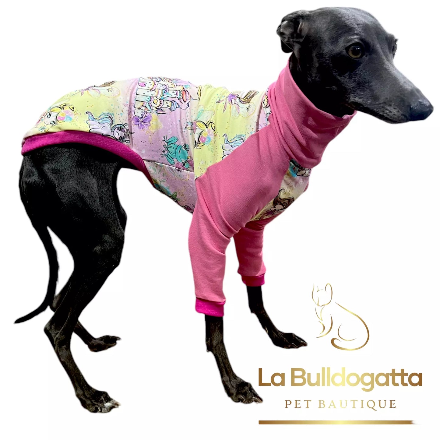 Felpina manica lunga raglan - vari tessuti - PICCOLO LEVRIERO ITALIANO - SU MISURA