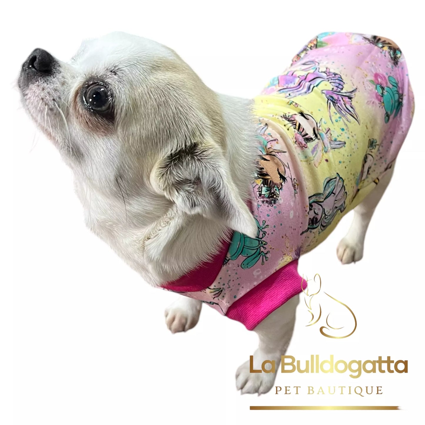 Felpina basic giromanica per cani di piccola taglia (fino a 5kg) vari tessuti - SU MISURA