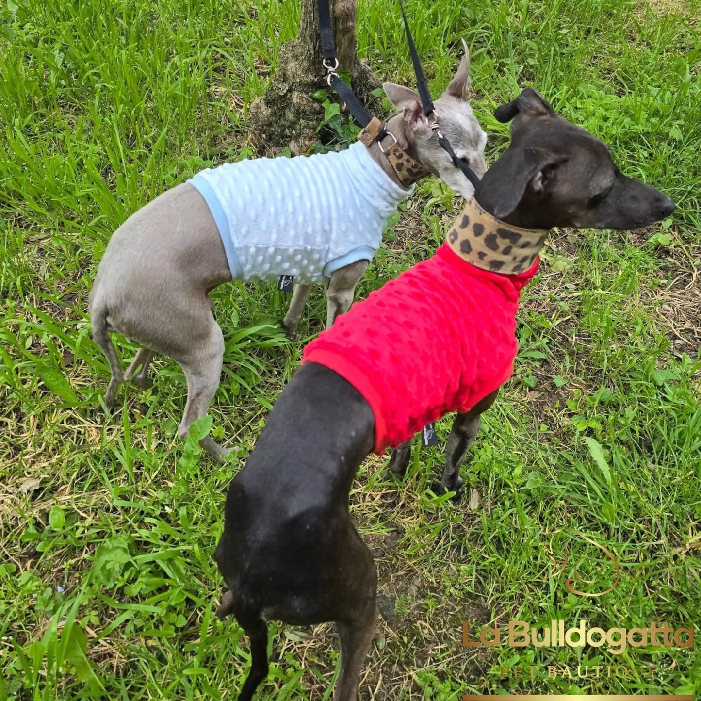 Felpina basic crop top - vari tessuti - PICCOLO LEVRIERO ITALIANO - SU MISURA