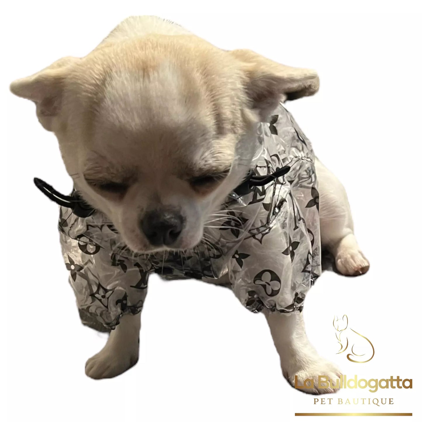 Impermeabile Allover Lux trasparente