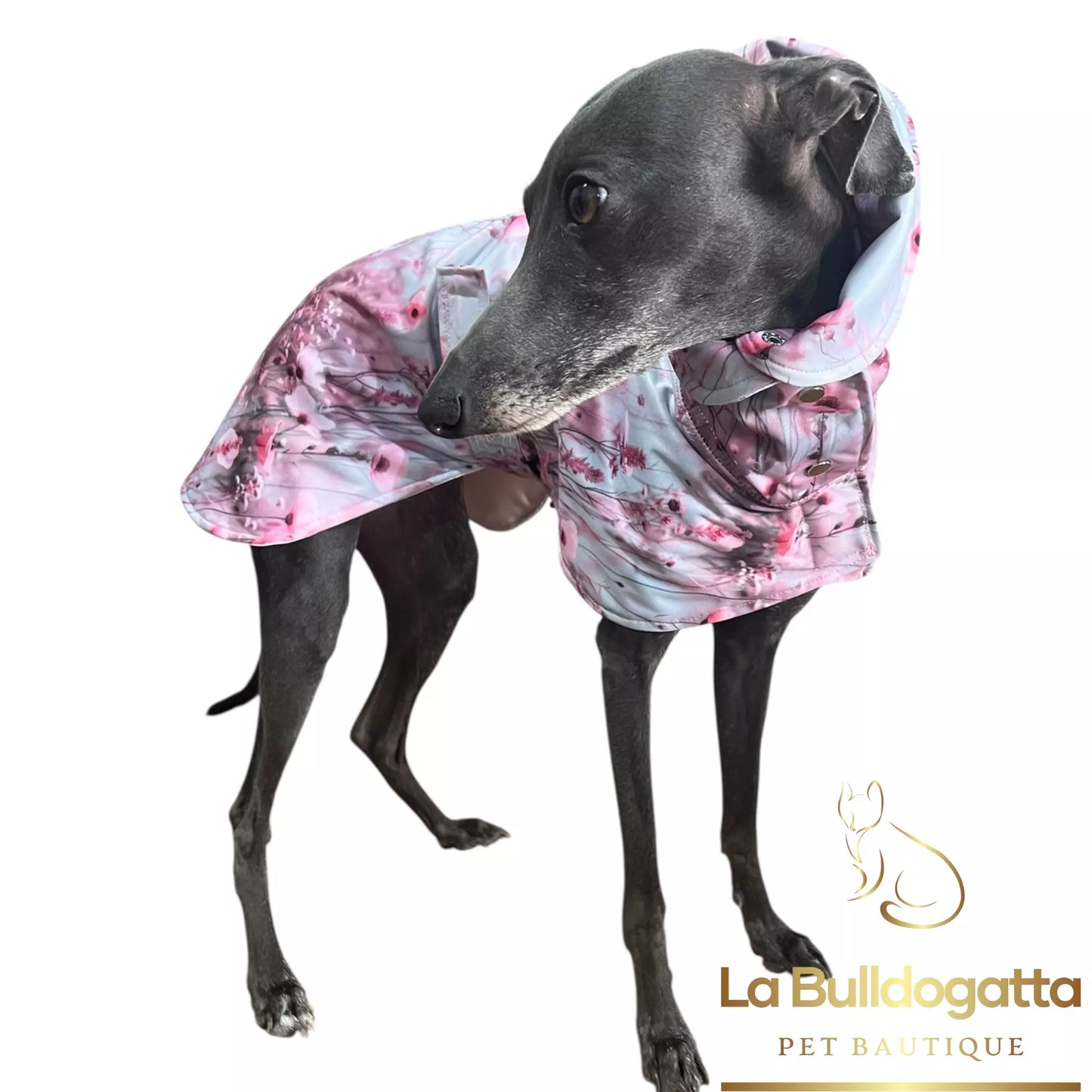 Impermeabile leggero collo versatile - vari tessuti - PICCOLO LEVRIERO ITALIANO - SU MISURA
