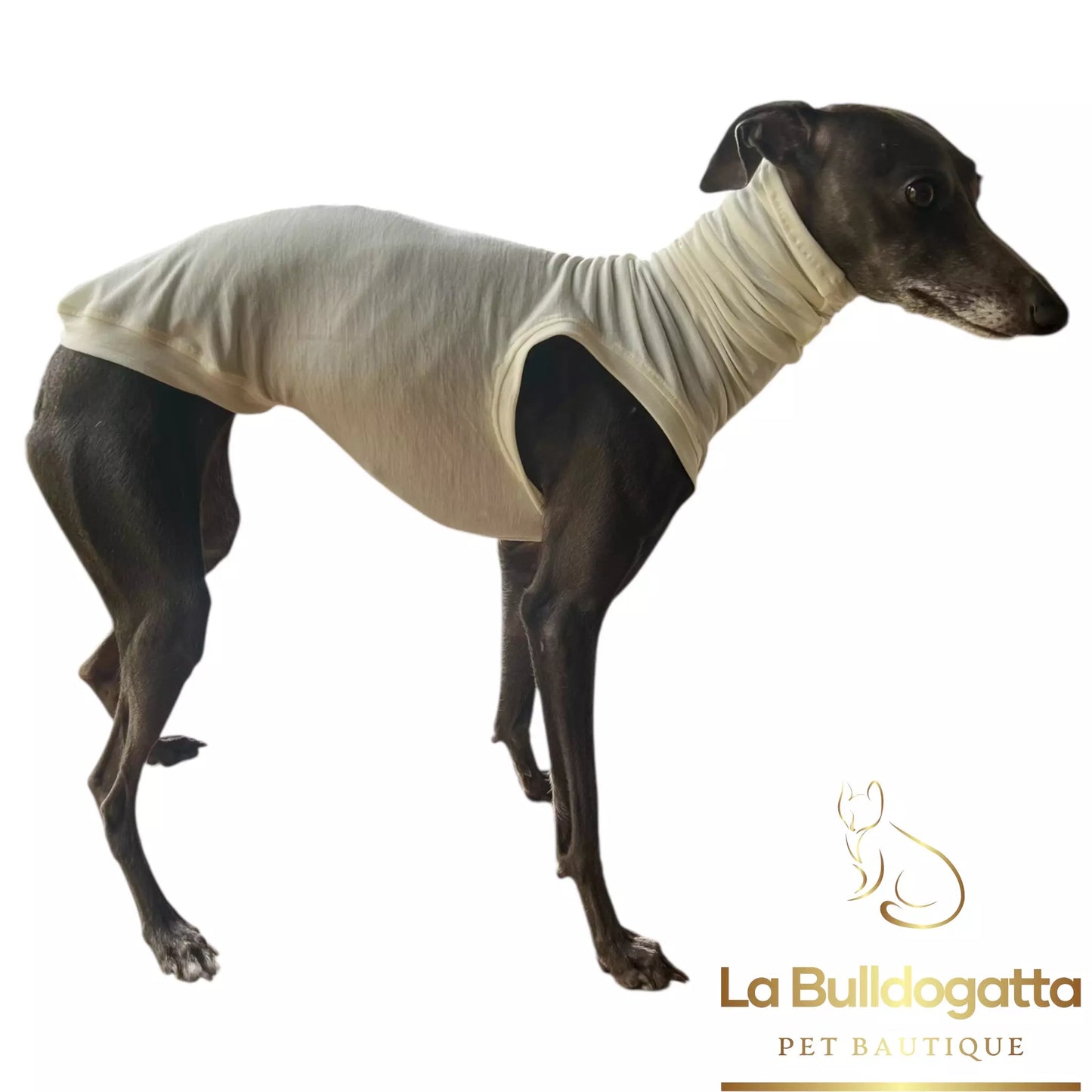 Maglia termica seconda pelle 100% Merino - PICCOLO LEVRIERO ITALIANO - SU MISURA