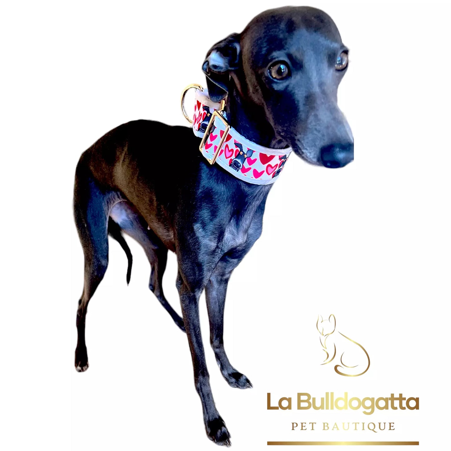 Martingala 40 mm PLI sorriso bianco PICCOLO LEVRIERO ITALIANO