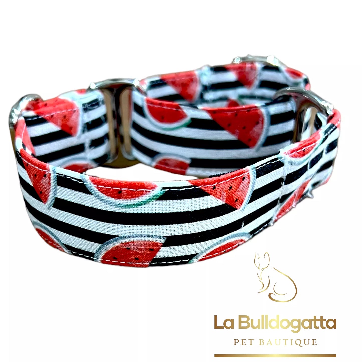 Martingala semistrozzo 25 mm WATERMELON PICCOLO LEVRIERO ITALIANO