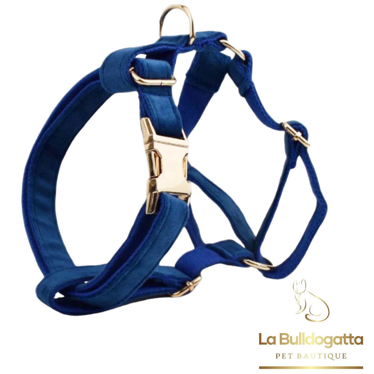 Royal blue velvet H-harness, leash and bow set