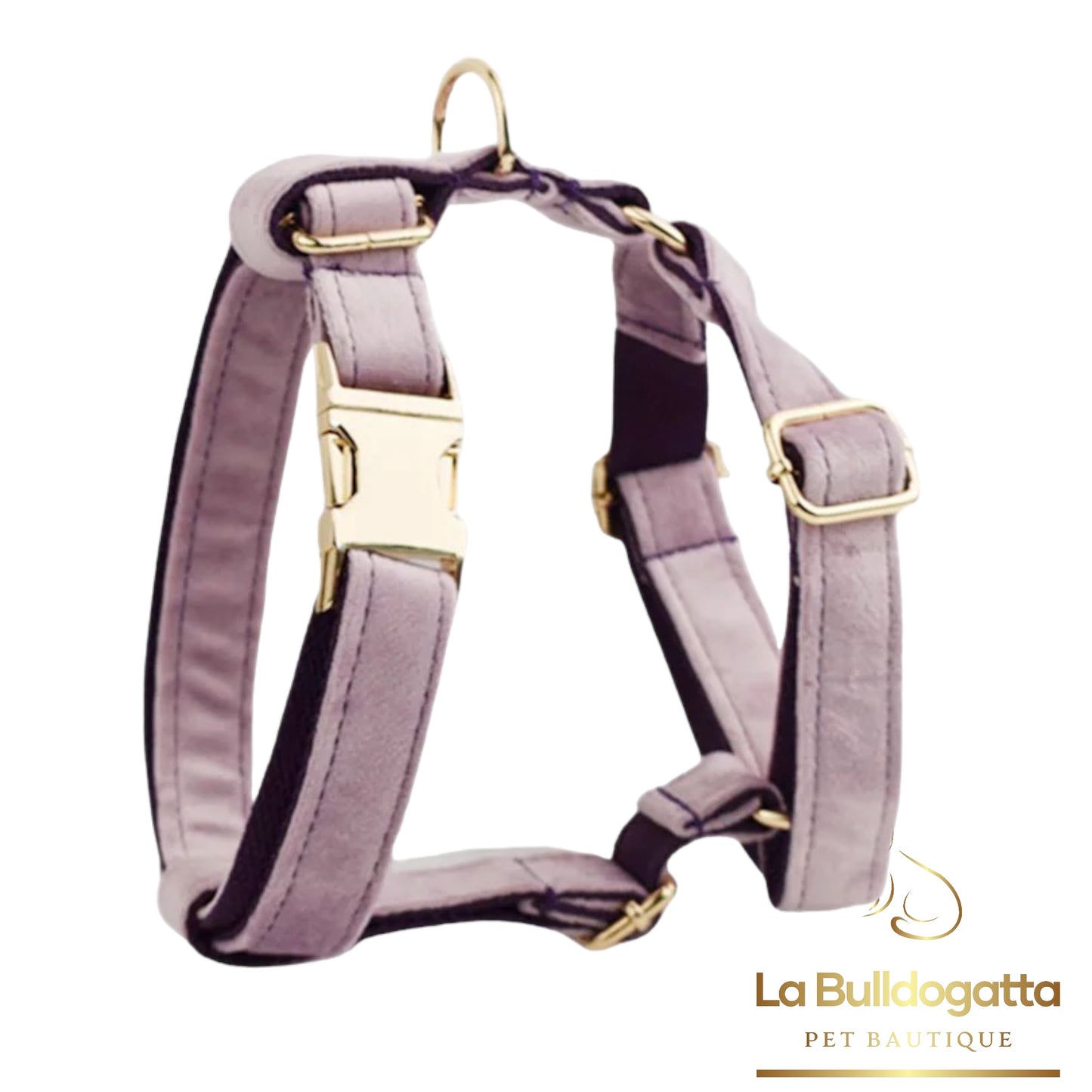 Set Pettorina a H, guinzaglio e fiocco velluto lilla