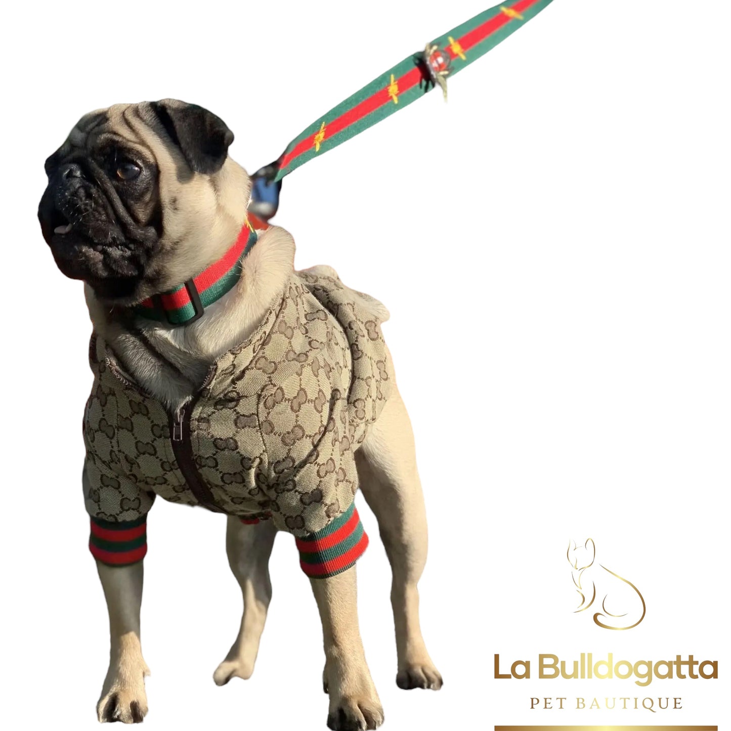 Set collare guinzaglio Lux little bee