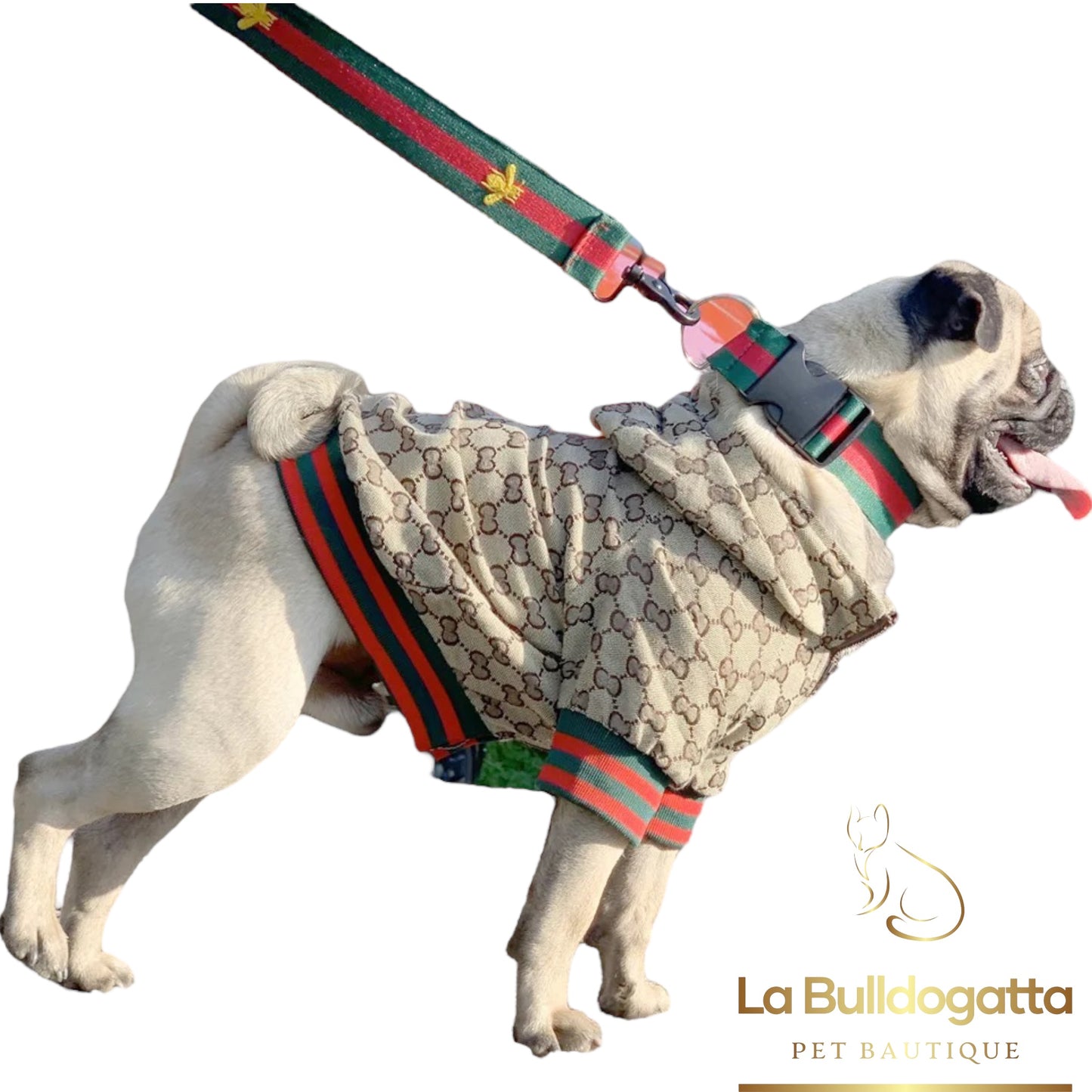 Set collare guinzaglio Lux little bee