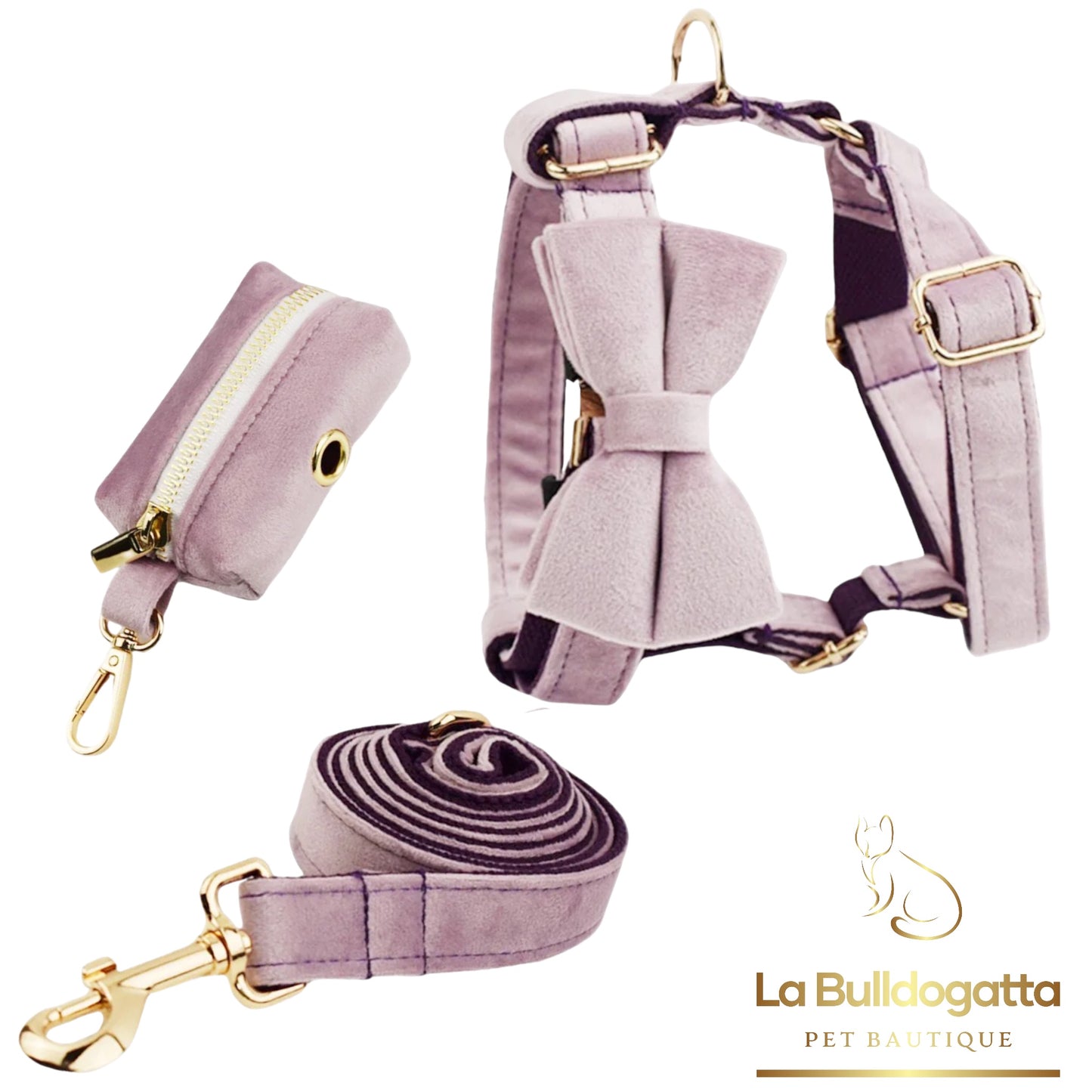 Set Pettorina a H, guinzaglio e fiocco velluto lilla