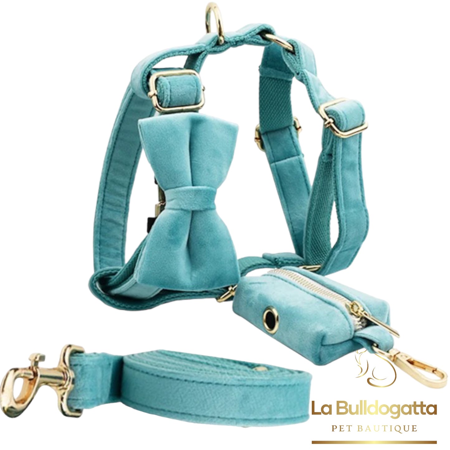 Set Pettorina a H, guinzaglio e fiocco velluto verde tiffany