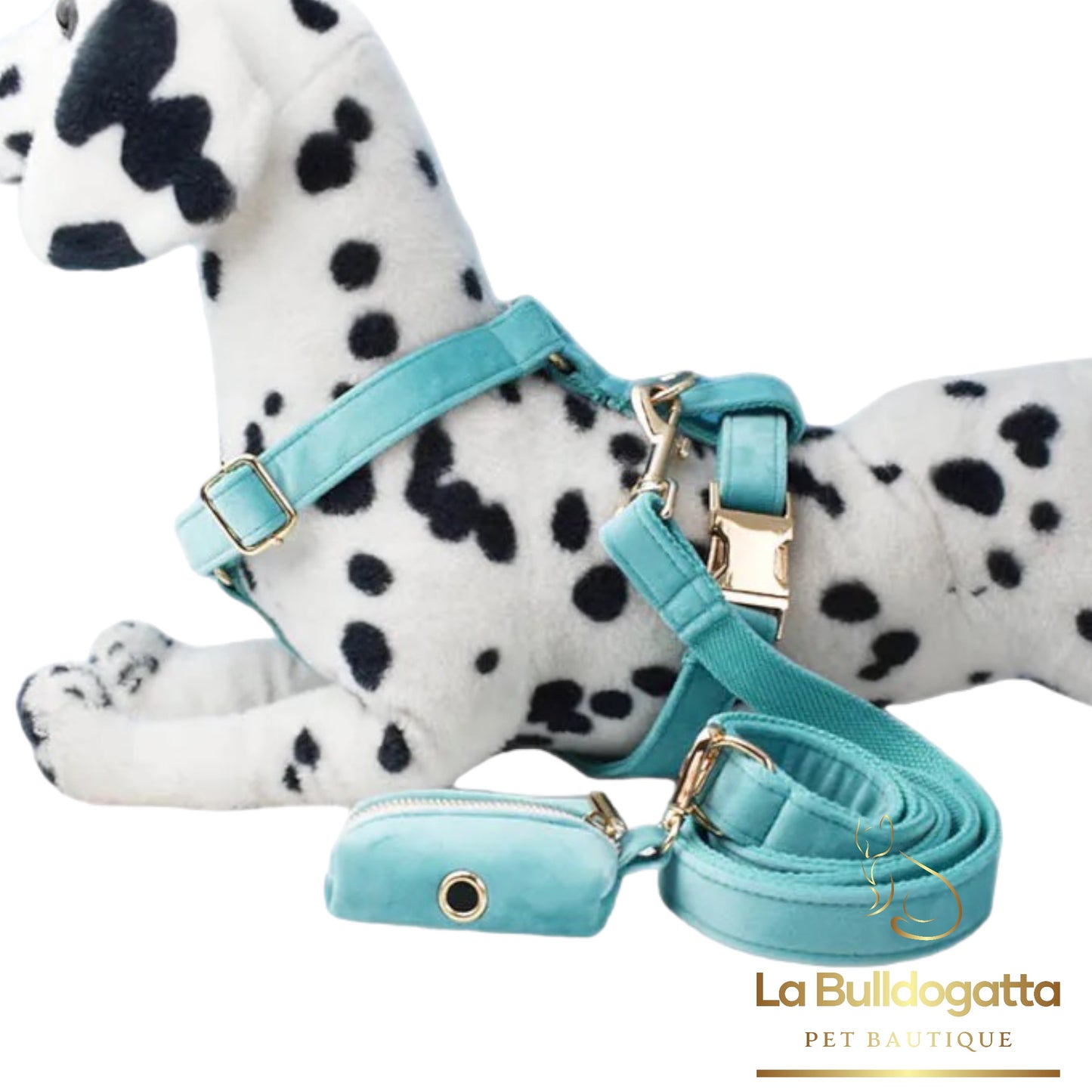 Set Pettorina a H, guinzaglio e fiocco velluto verde tiffany