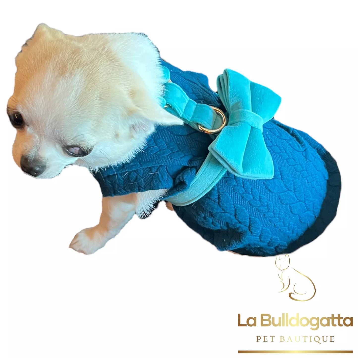 Felpina cane Knit (cani fino a 5kg) - SU MISURA