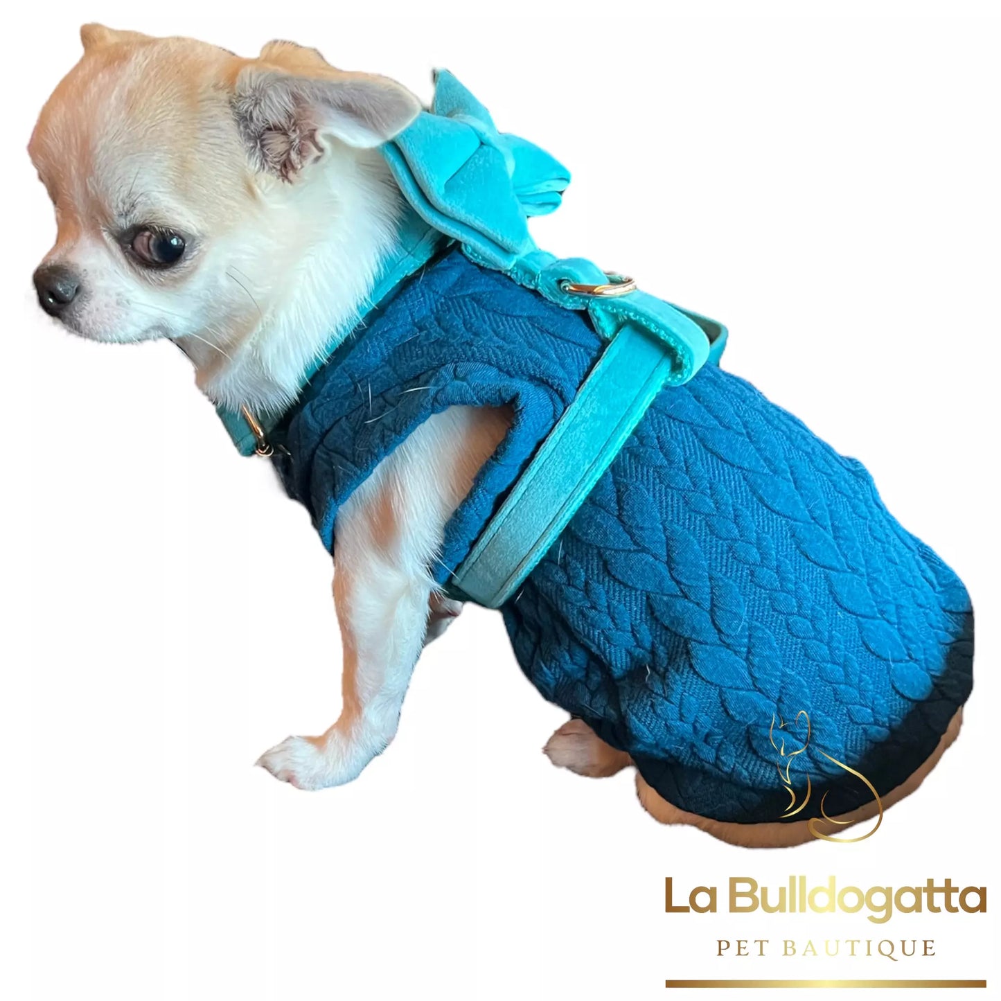 Felpina cane Knit verde petrolio