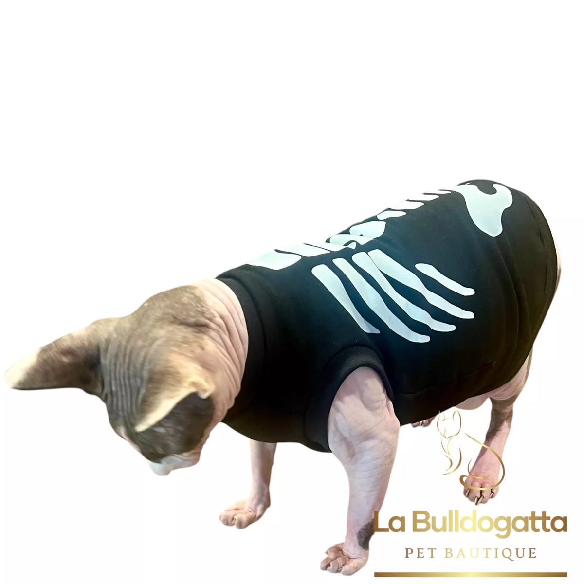 Vestitino sphynx Skeleton - edizione limitata - IN ARRIVO