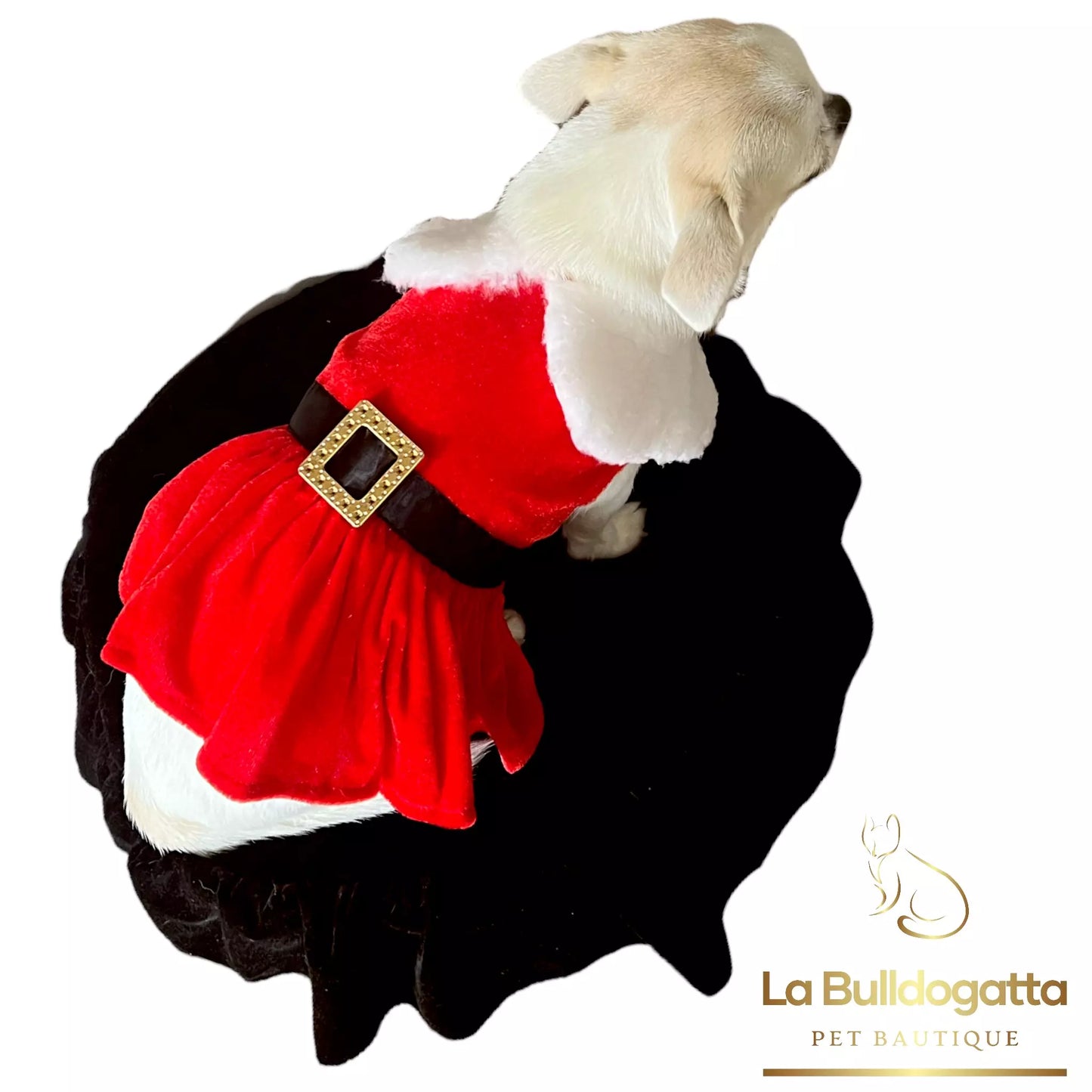 Vestitino Cane Mamma Natale