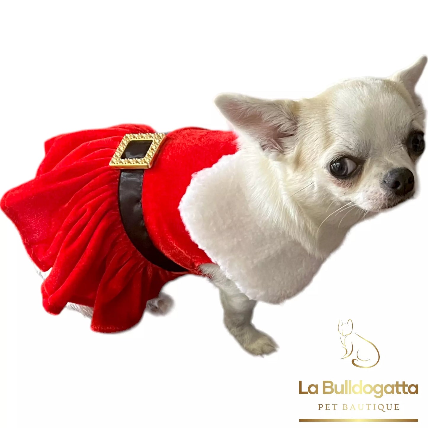 Vestitino Cane Mamma Natale
