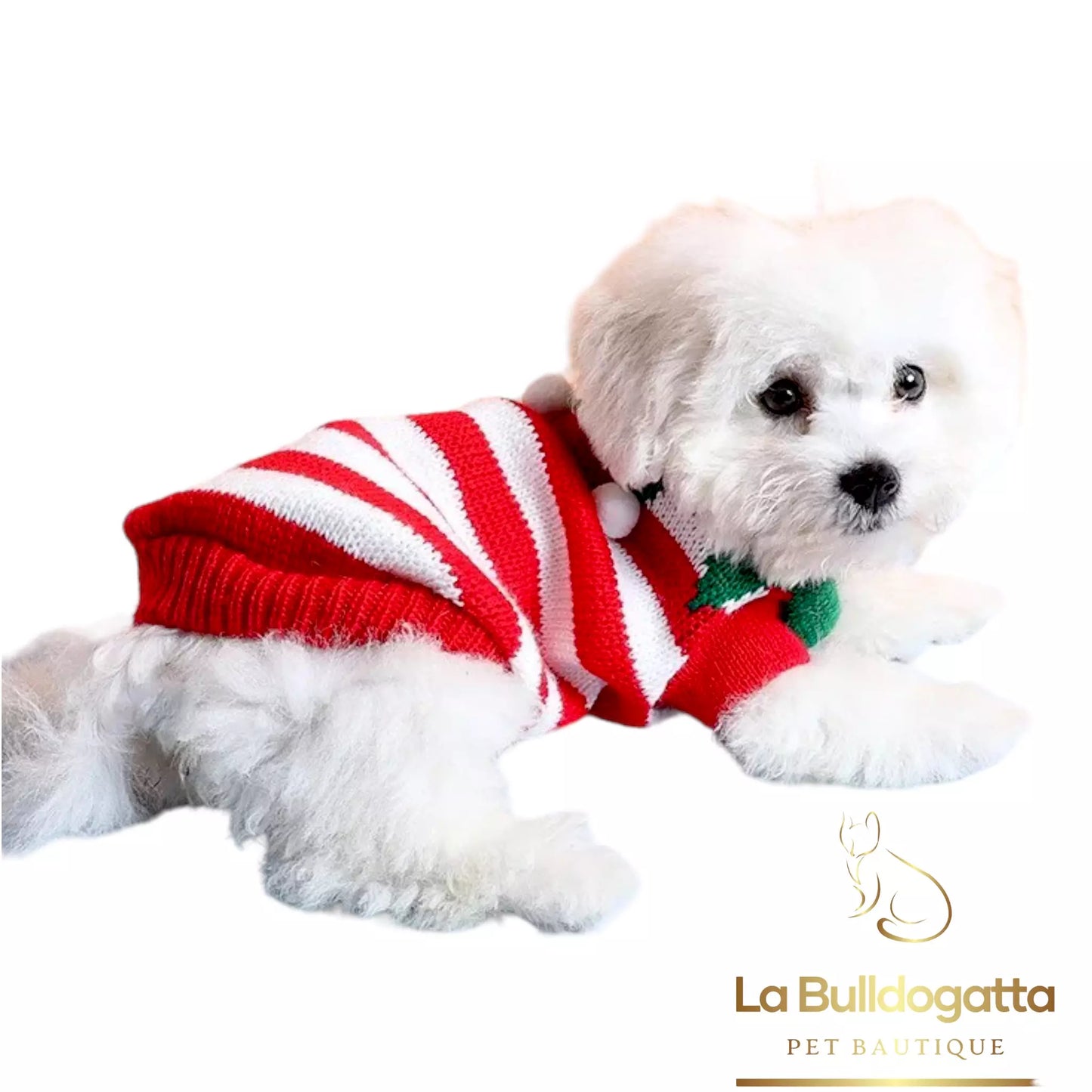Maglioncino cane natale Elfo