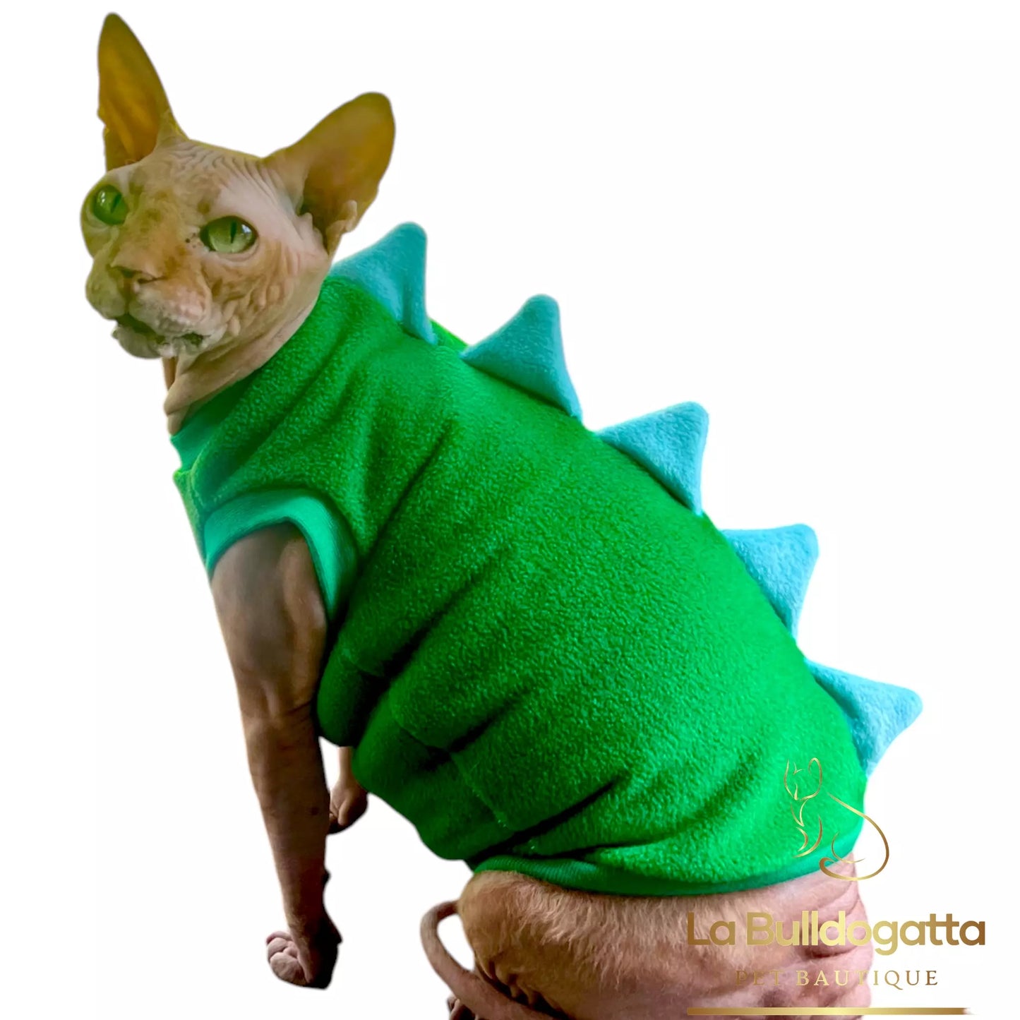 Vestitino sphynx Draghetto - autunno/inverno - SU MISURA