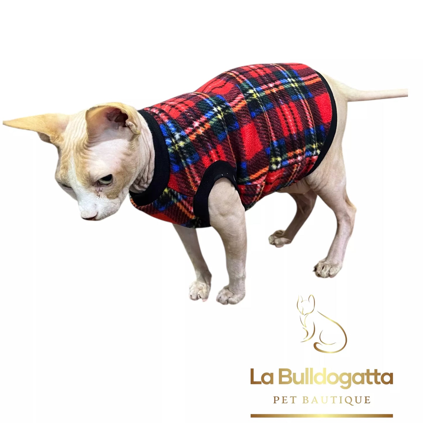 Vestitino sphynx SCOZZESE rosso-azzurro