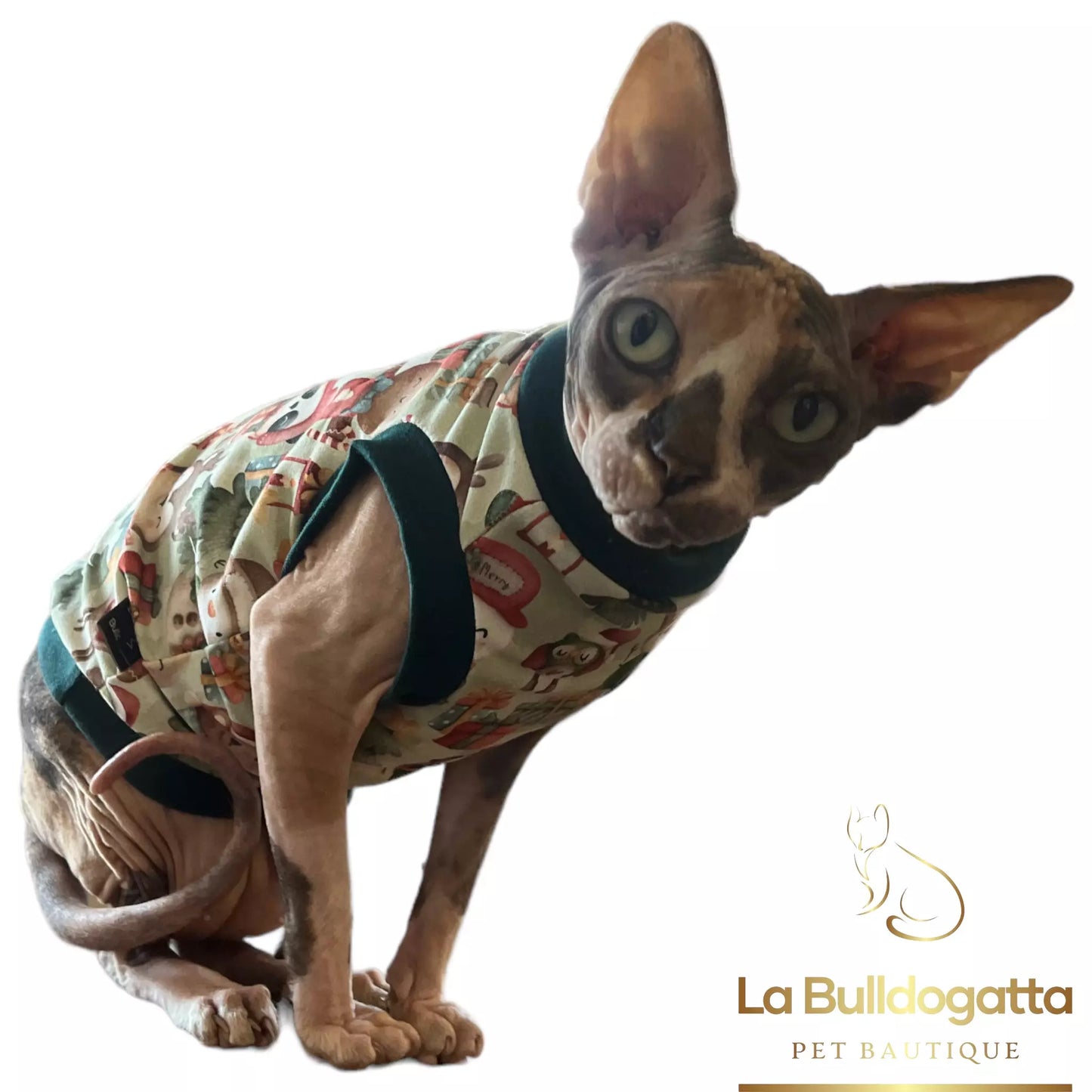 Vestitino sphynx Winter Magic