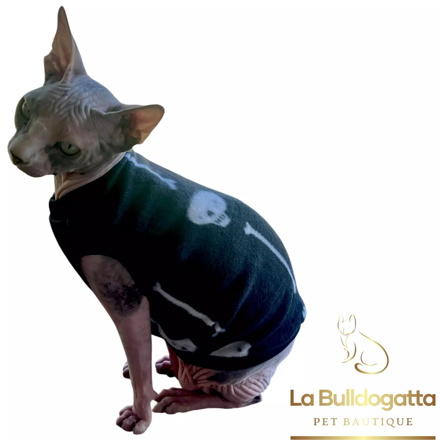 Vestitino sphynx basic SKULLS & BONES