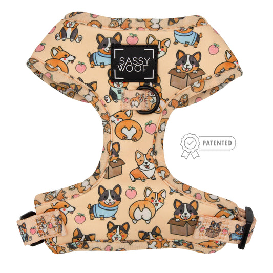 Pettorina regolabile per cane Corgilicious - 'Corgilicious' Adjustable Dog Harness