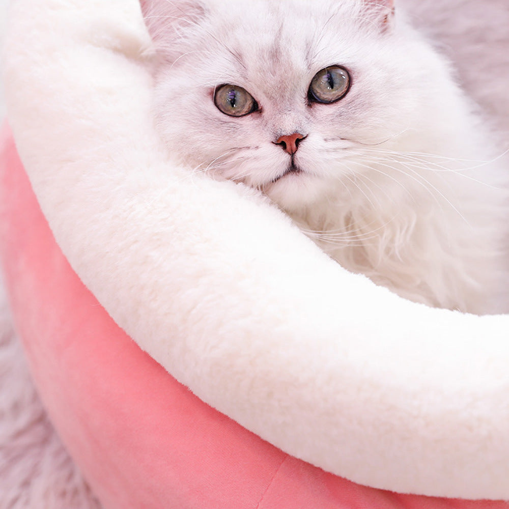 Cuccia per gatto 3 varianti : sacchetto monete, coniglietto e gelato fragola e panna