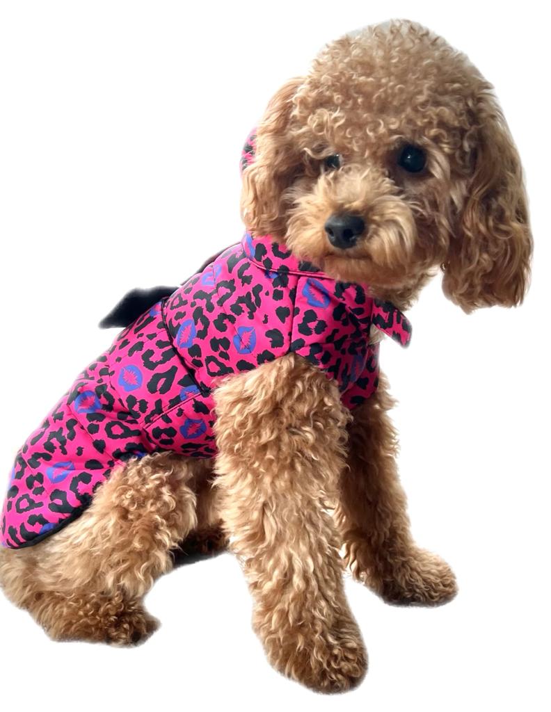 Quilted raincoat with removable hood