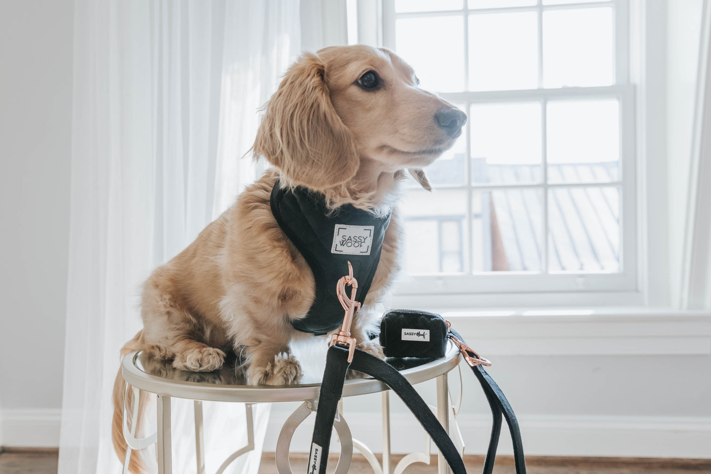 Borsetta portasacchetti I Do Too (Nero) - 'I Do Too' Dog Waste Bag Holder (Black)