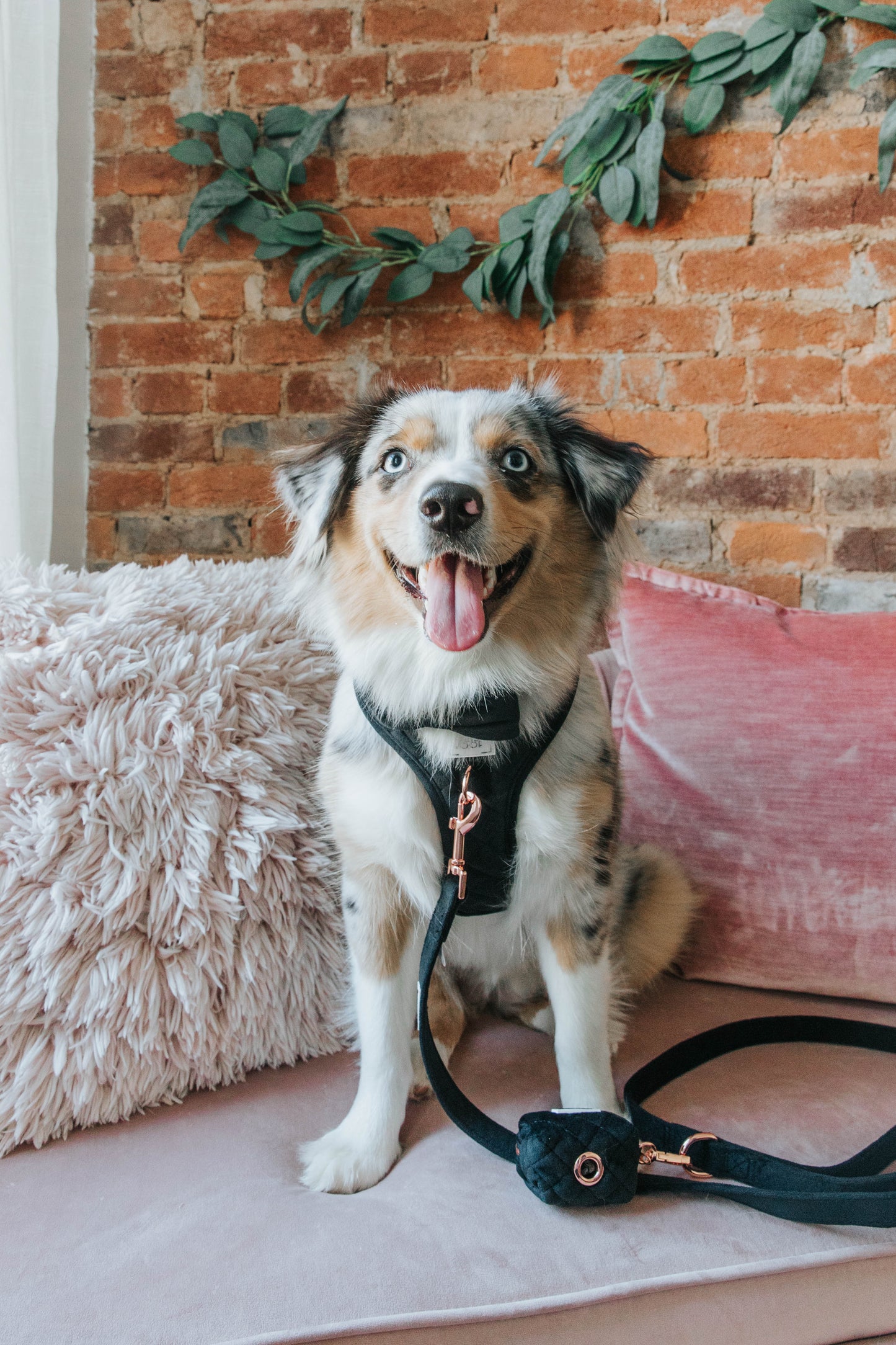 Borsetta portasacchetti I Do Too (Nero) - 'I Do Too' Dog Waste Bag Holder (Black)