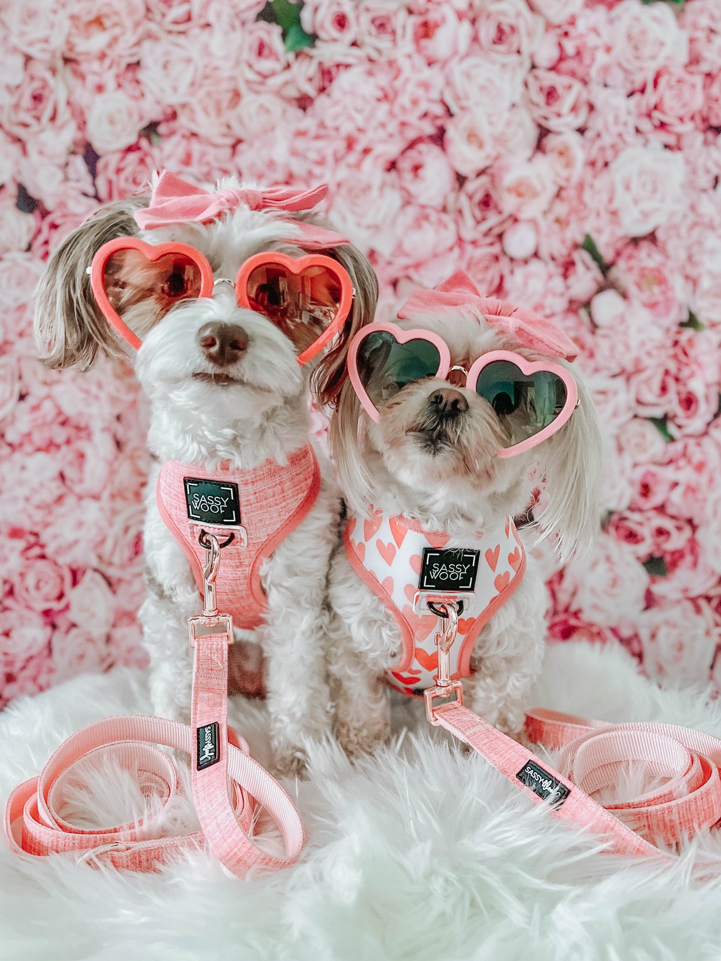 Dolce Rose Reversible Harness - 'Dolce Rose' Reversible Dog Harness