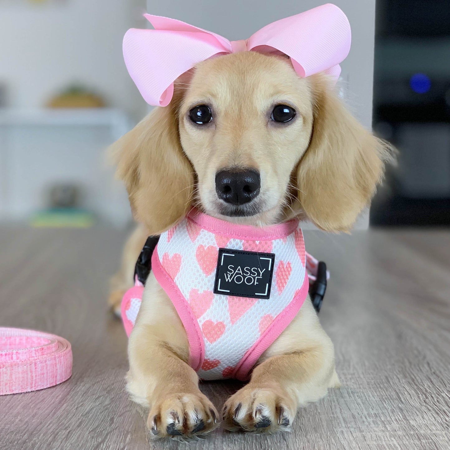 Dolce Rose Reversible Harness - 'Dolce Rose' Reversible Dog Harness