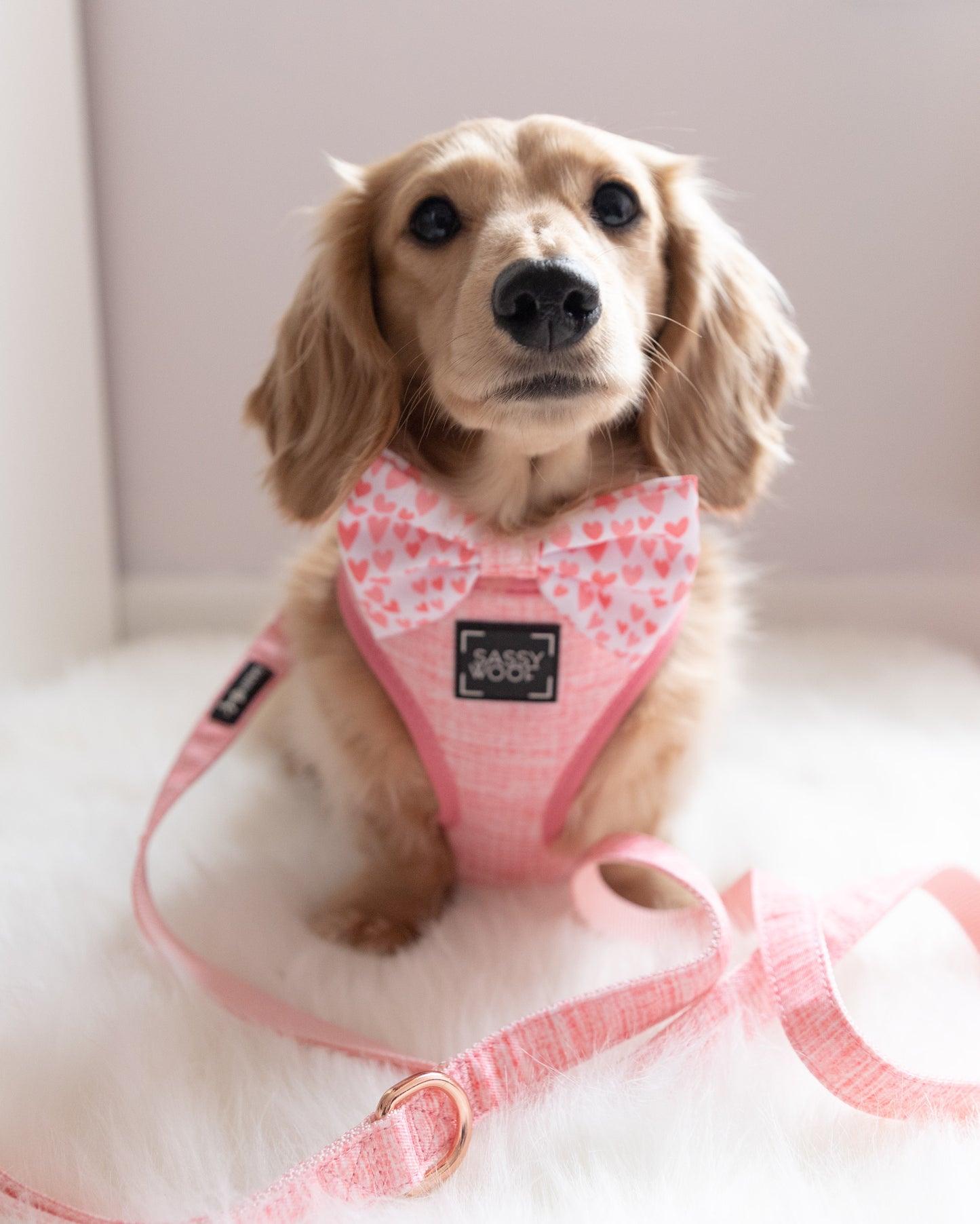 Guinzaglio in tessuto DOLCE ROSE - 'Dolce Rose' Dog Fabric Leash