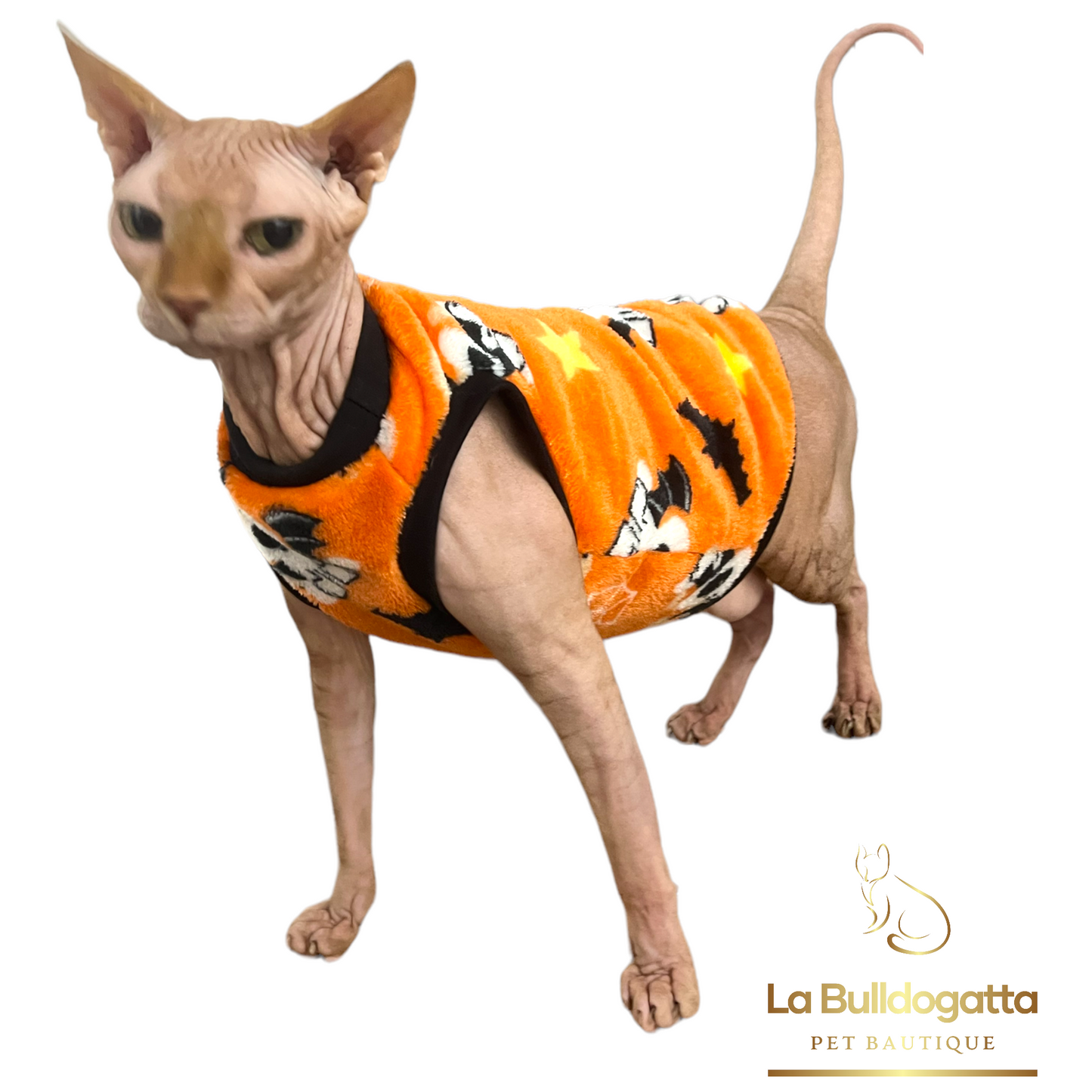 Halloween dress