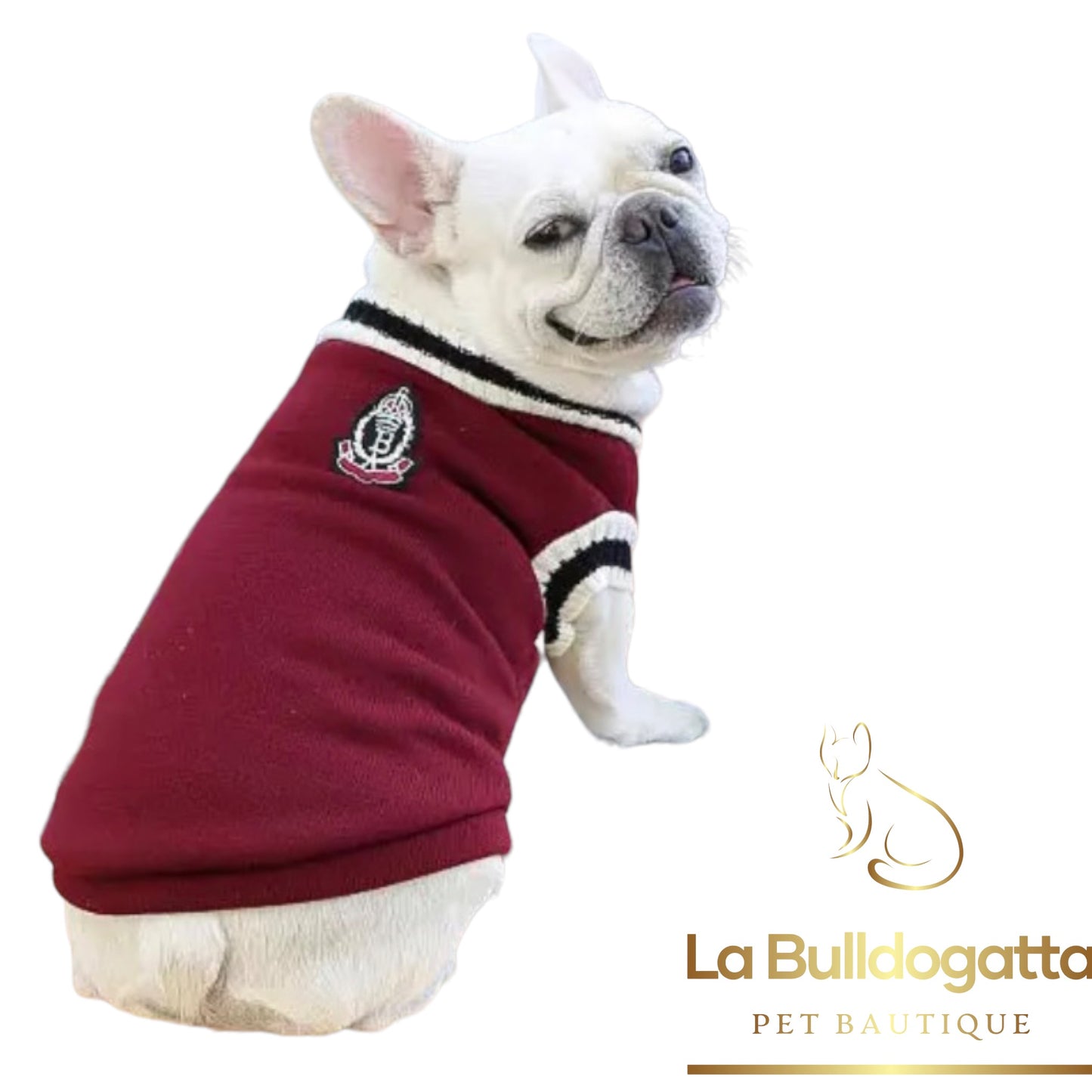 Maglioncino per cani British Style