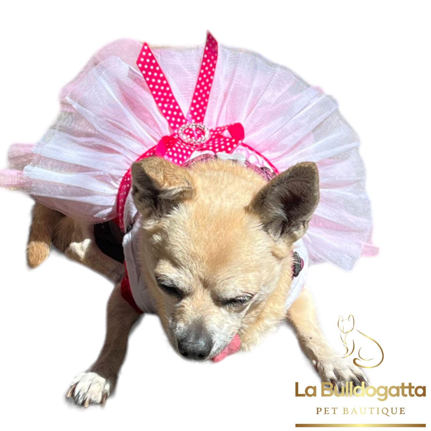 Vestitino Kiss con gonnellina in pizzo