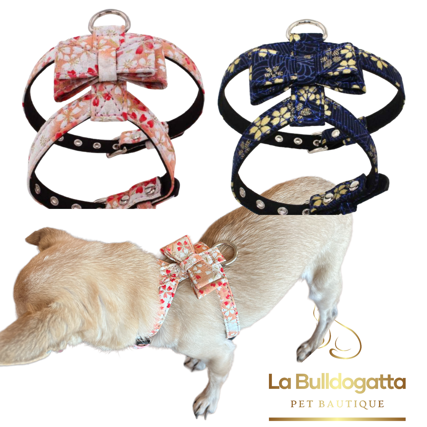 Adjustable H-harness with bow