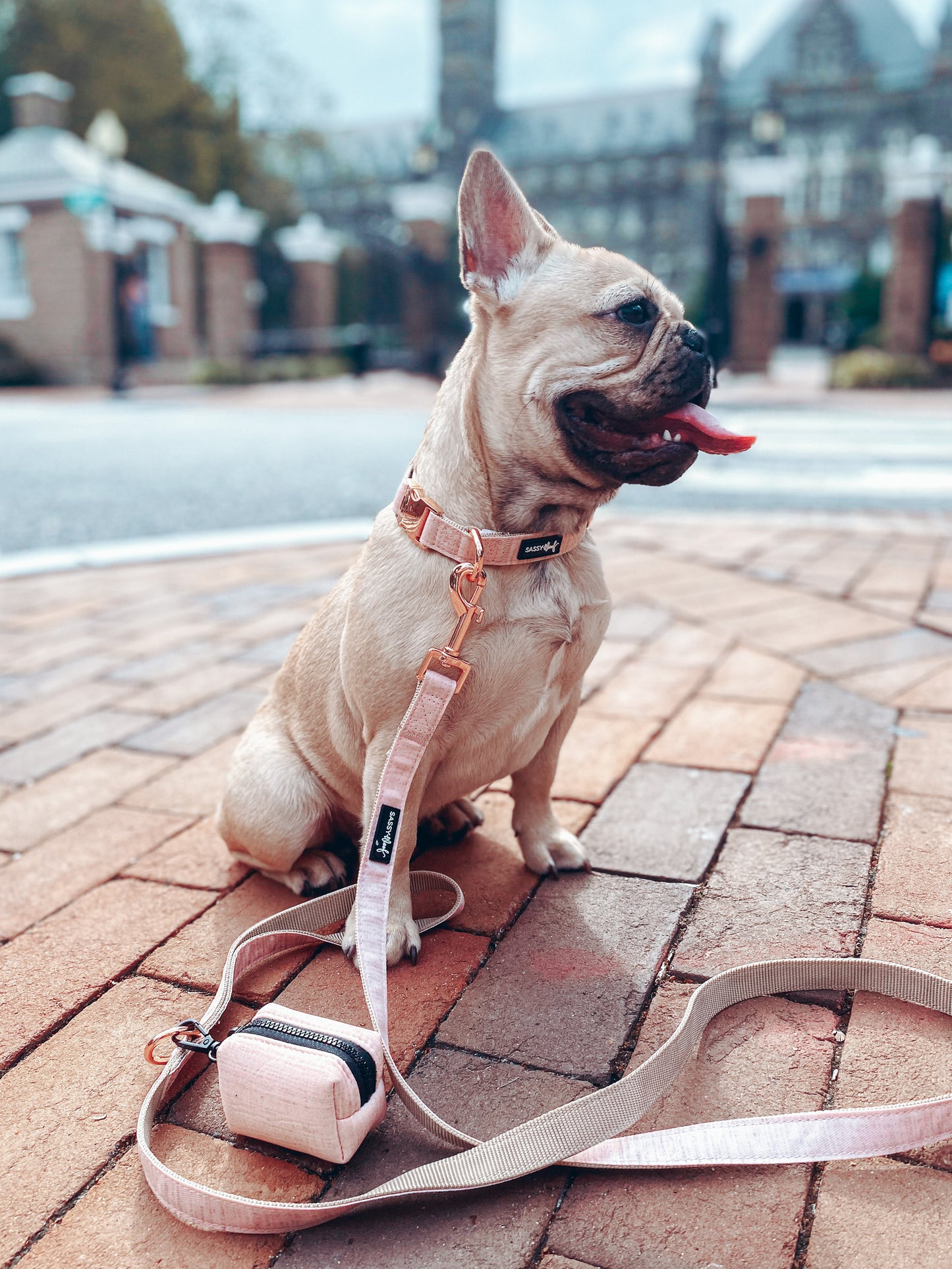 Borsetta portasacchetti Pinot - 'Pinot' Dog Waste Bag Holder