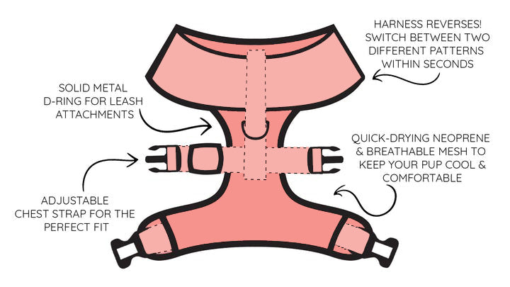 Dolce Rose Reversible Harness - 'Dolce Rose' Reversible Dog Harness