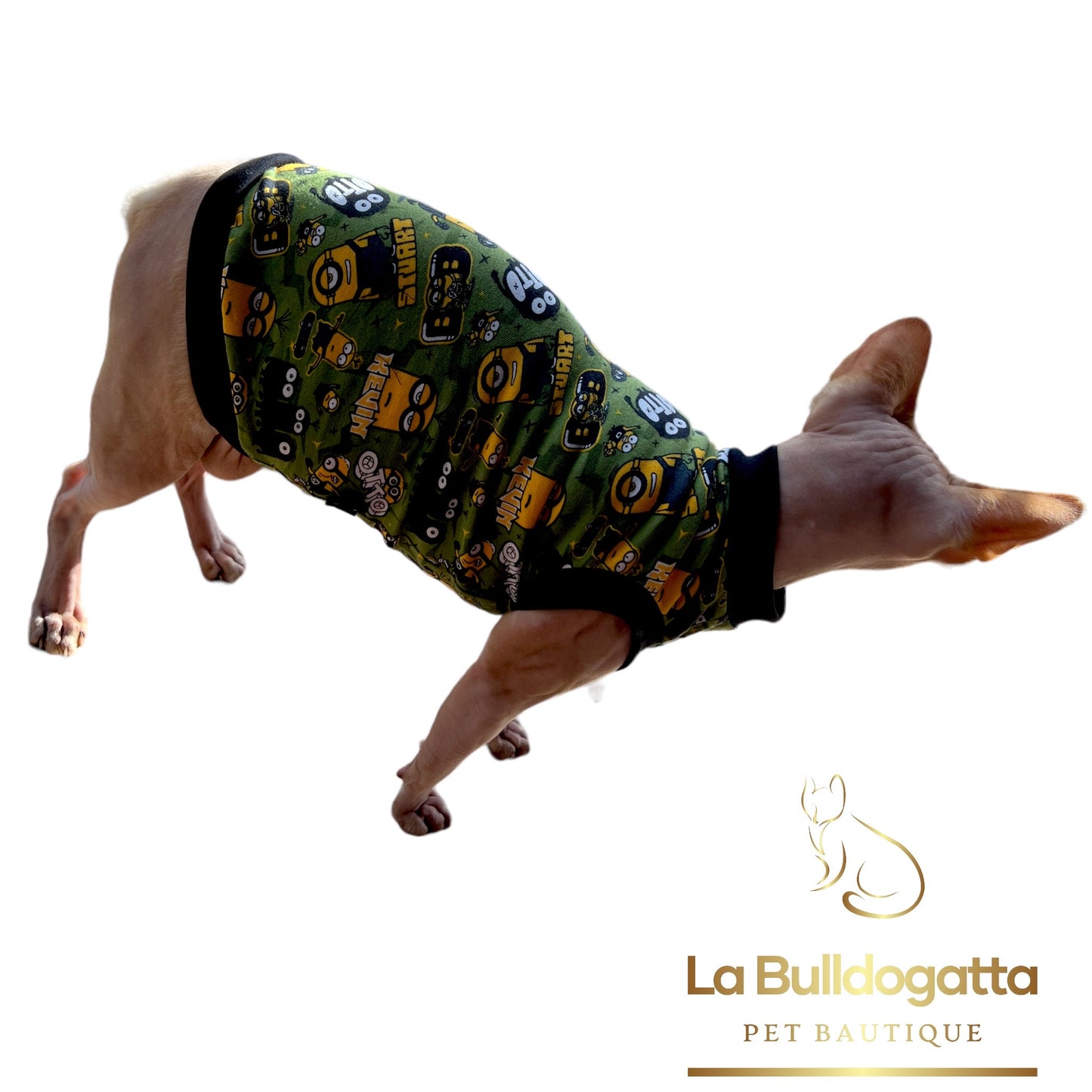 Vestitino sphynx MINIONS